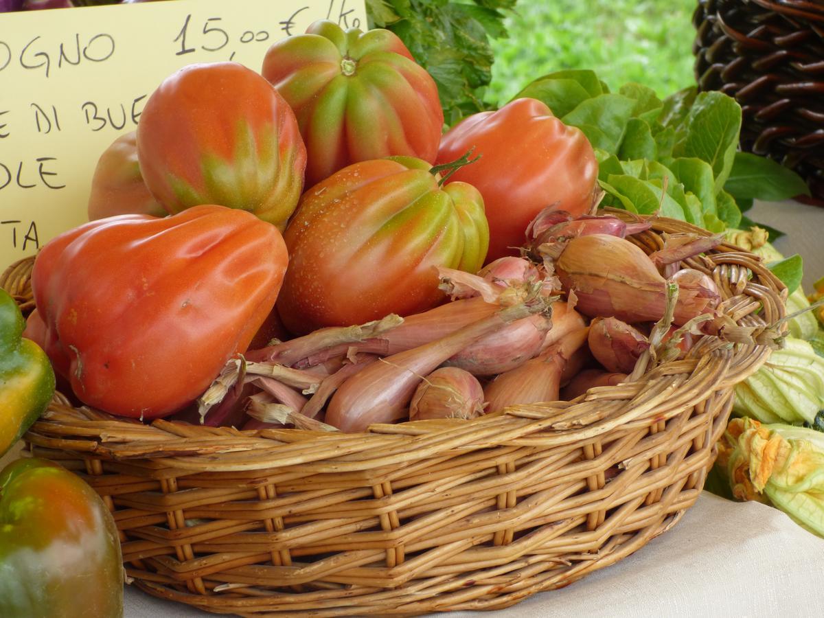 Agriturismo La Sforzata كولّينيو المظهر الخارجي الصورة